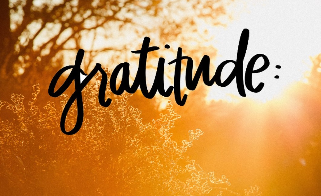 Kick Off Your Gratitude Campaign